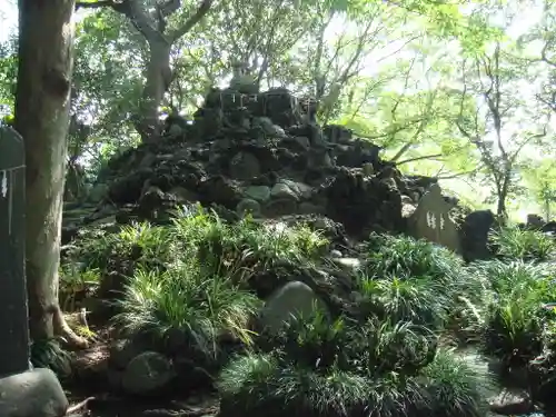 飯香岡八幡宮の自然