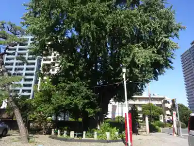 磐井神社の自然