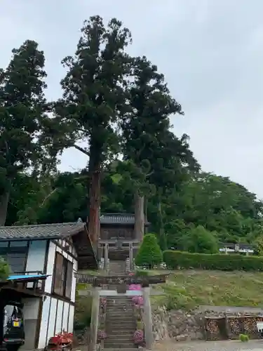 諏訪神社の鳥居