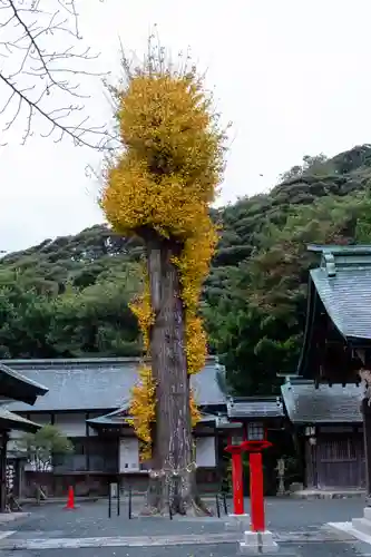 宗像大社中津宮(福岡県)