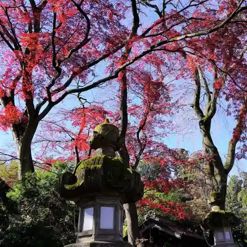 神炊館神社 ⁂奥州須賀川総鎮守⁂の景色