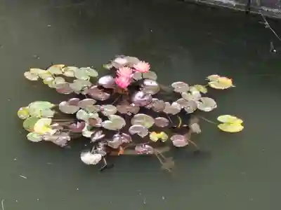 市原稲荷神社(愛知県)