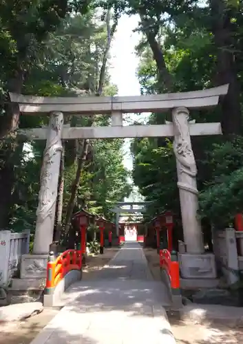 馬橋稲荷神社の鳥居