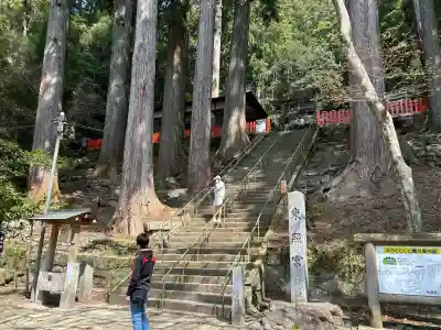 鳳来山東照宮の{uncategorized: "未分類", other: "その他", undefined: "問題あり", building: "その他建物", grave: "お墓", sacred_gate: "鳥居", guardian: "狛犬", statue: "像", buddha: "仏像", history: "歴史", nature: "自然", garden: "庭園", animal: "動物", pagoda: "塔", temizu: "手水舎", mountain_gate: "山門・神門", sanctuary: "本殿・本堂", subordinate: "末社・摂社", art: "芸術", scenery: "景色", jizo: "地蔵", ema: "絵馬", goshuin: "御朱印", omikuji: "おみくじ", items: "授与品その他", amulet: "お守り", goshuincho: "御朱印帳", eats: "食事", festival: "お祭り", votive_dance: "神楽", shichigosan: "七五三参", wedding: "結婚式", experience: "体験その他", initially: "初詣", around: "周辺", anti_infection: "感染症対策"}
