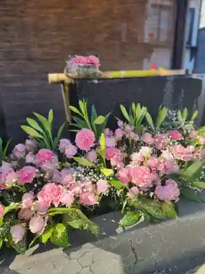 上尾御嶽神社の手水舎