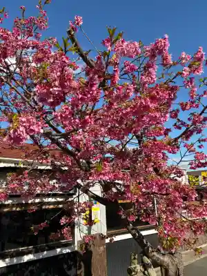かっぱの寺 栖足寺(静岡県)