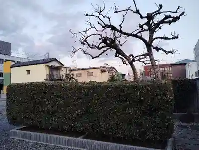 稲荷神社の自然