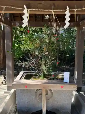 赤坂氷川神社(東京都)