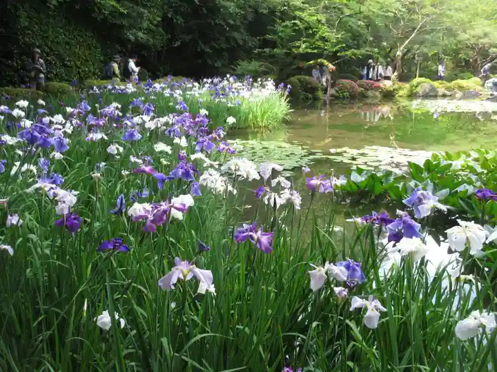 平安神宮の庭園