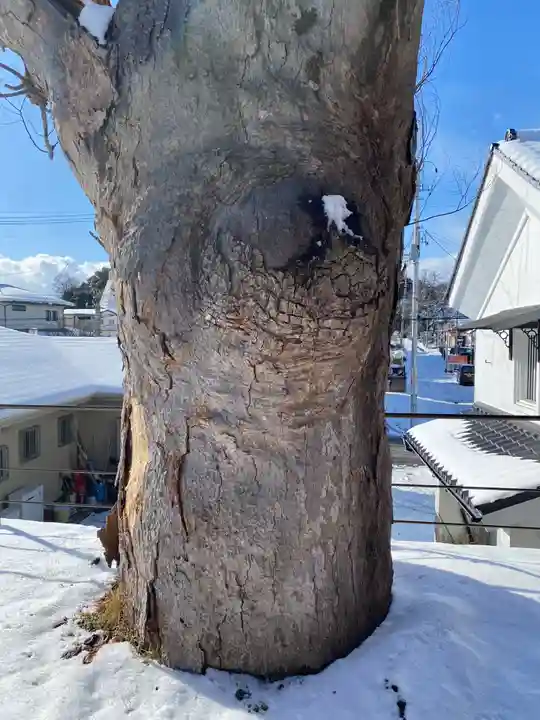 二階堂神社(福島県)