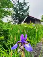 黄金龍神社(桂不動)(北海道)