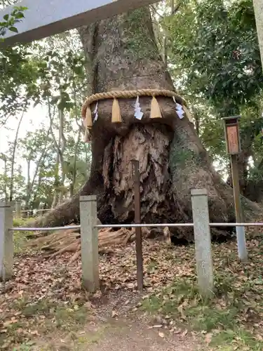 松阪神社の自然