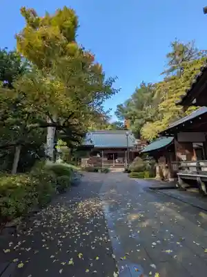 妙法寺(東京都)