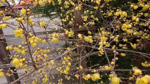 板倉雷電神社の自然