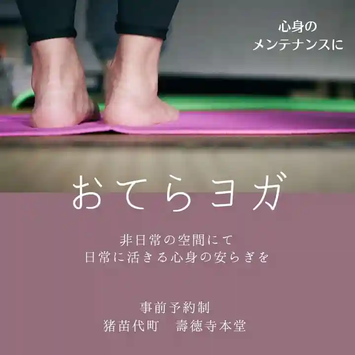 壽徳寺 じゅとくじの体験その他