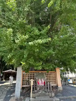 熊野大社(山形県)