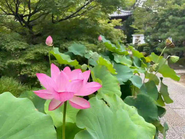 伊勢の国 四天王寺(三重県)