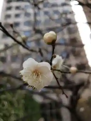 銀世界稲荷神社(東京都)