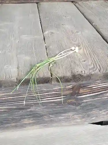 兼宮神社(群馬県)