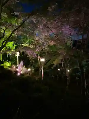 このみ白雲大社(岡山県)