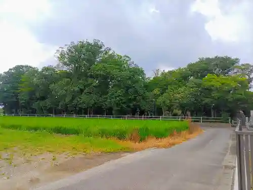 白山社（八幡社）の自然