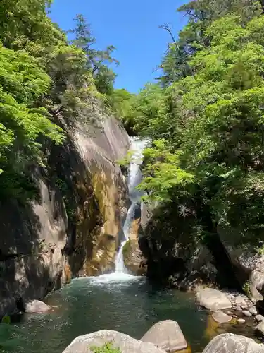 夫婦木神社の自然