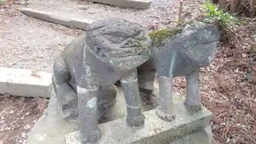 近戸神社の狛犬