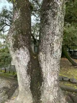 若宮神明社(愛知県)