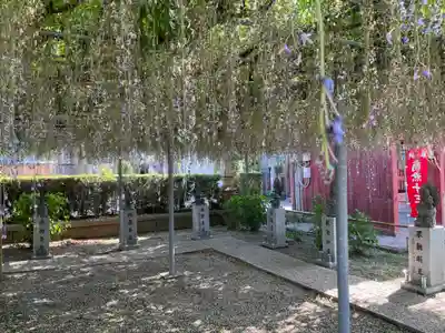 龍泉寺（足利厄除大師）(栃木県)