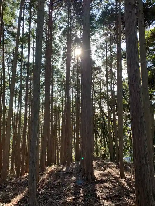 三峰神社の自然