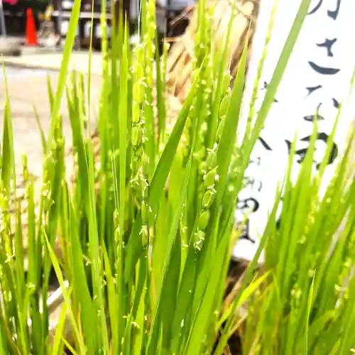 七重浜海津見神社(北海道)