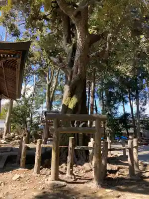 小宅神社のその他建物