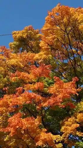 相馬神社(北海道)