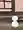 はび