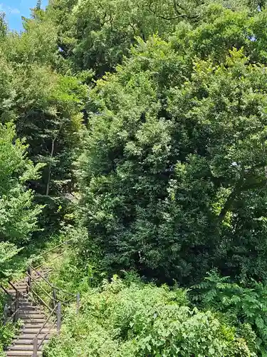 富士見稲荷神社(埼玉県)
