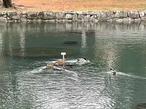 相国寺（相国承天禅寺）(京都府)