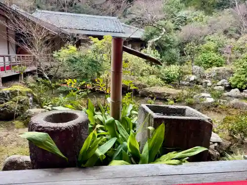 実相院門跡の{uncategorized: "未分類", other: "その他", undefined: "問題あり", building: "その他建物", grave: "お墓", sacred_gate: "鳥居", guardian: "狛犬", statue: "像", buddha: "仏像", history: "歴史", nature: "自然", garden: "庭園", animal: "動物", pagoda: "塔", temizu: "手水舎", mountain_gate: "山門・神門", sanctuary: "本殿・本堂", subordinate: "末社・摂社", art: "芸術", scenery: "景色", jizo: "地蔵", ema: "絵馬", goshuin: "御朱印", omikuji: "おみくじ", items: "授与品その他", amulet: "お守り", goshuincho: "御朱印帳", eats: "食事", festival: "お祭り", votive_dance: "神楽", shichigosan: "七五三参", wedding: "結婚式", experience: "体験その他", initially: "初詣", around: "周辺", anti_infection: "感染症対策"}