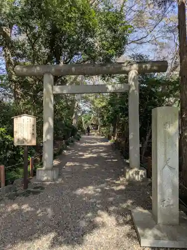 櫻木神社(千葉県)