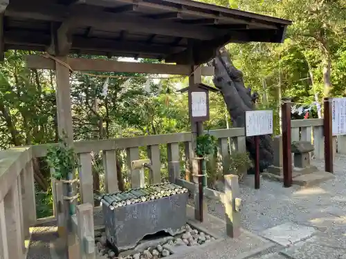 青木神社（笠間町）の{uncategorized: "未分類", other: "その他", undefined: "問題あり", building: "その他建物", grave: "お墓", sacred_gate: "鳥居", guardian: "狛犬", statue: "像", buddha: "仏像", history: "歴史", nature: "自然", garden: "庭園", animal: "動物", pagoda: "塔", temizu: "手水舎", mountain_gate: "山門・神門", sanctuary: "本殿・本堂", subordinate: "末社・摂社", art: "芸術", scenery: "景色", jizo: "地蔵", ema: "絵馬", goshuin: "御朱印", omikuji: "おみくじ", items: "授与品その他", amulet: "お守り", goshuincho: "御朱印帳", eats: "食事", festival: "お祭り", votive_dance: "神楽", shichigosan: "七五三参", wedding: "結婚式", experience: "体験その他", initially: "初詣", around: "周辺", anti_infection: "感染症対策"}