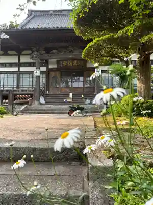 智恩寺(岩手県)