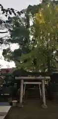 千住氷川神社の鳥居