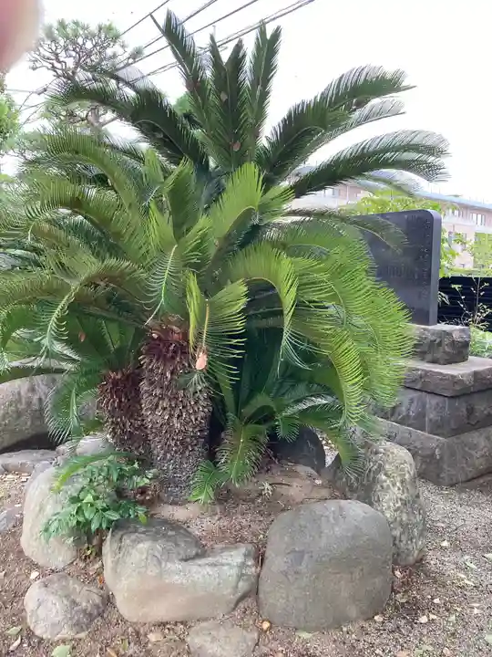 圓隆寺(神奈川県)