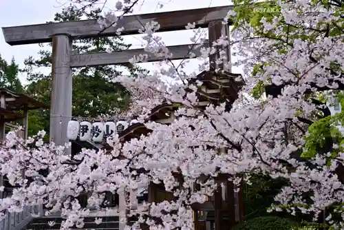 伊勢山皇大神宮の鳥居