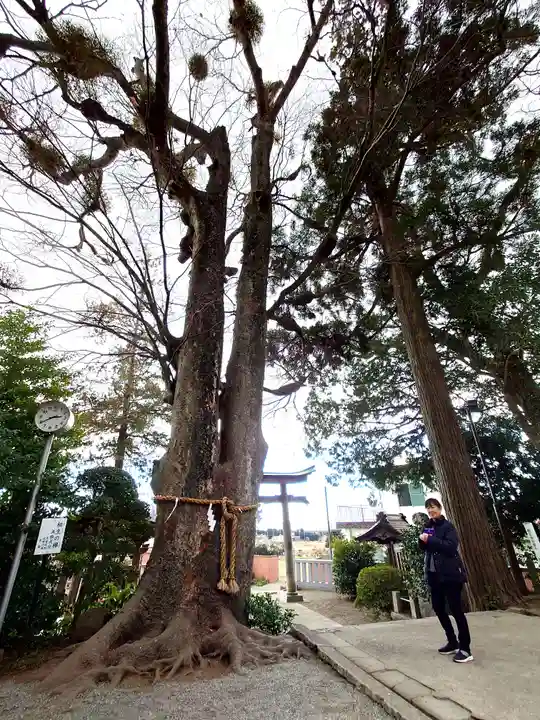 比々多神社(神奈川県)