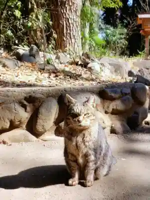 代々木八幡宮(東京都)
