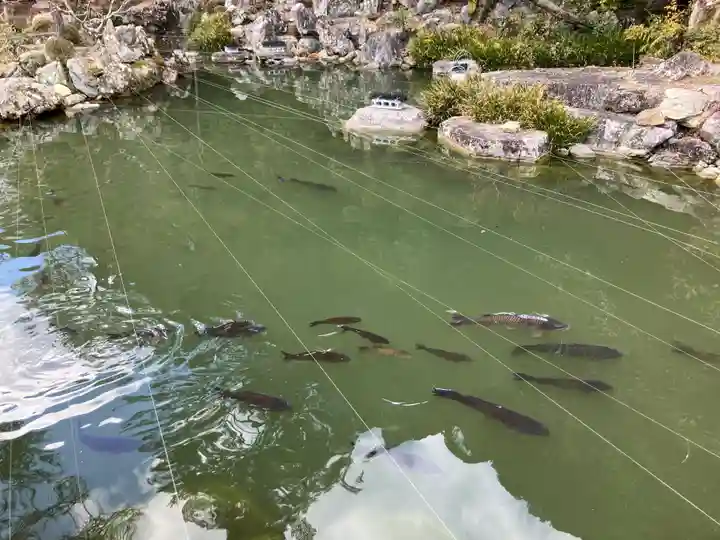 清荒神清澄寺(兵庫県)