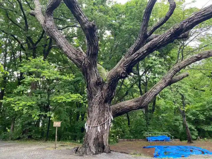 相馬神社(北海道)