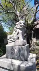 大鷲神社の狛犬