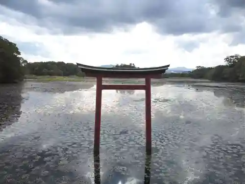 薦神社の鳥居