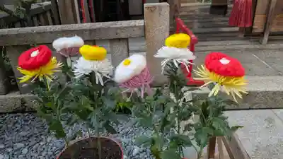 市比賣神社(京都府)